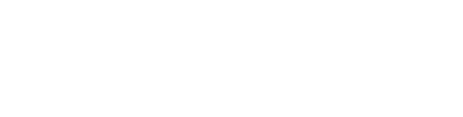 Fitnech Logo